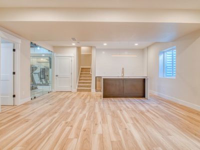 Basement Renovation